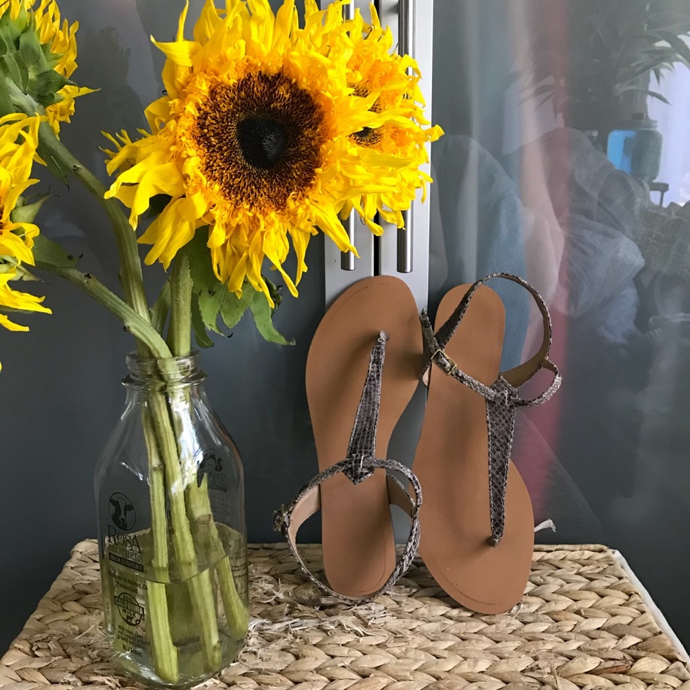 Banana Republic sandals